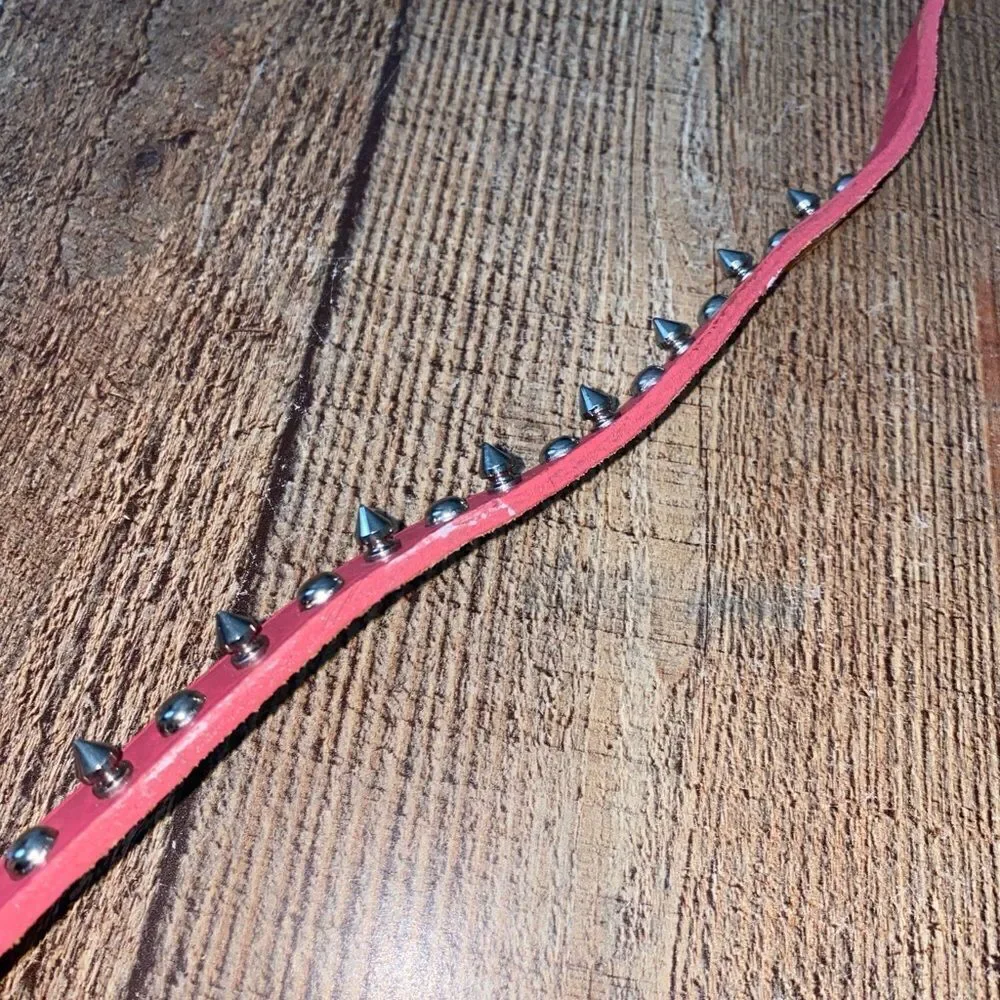Pink studded spiked leather collar petco  Size 16”